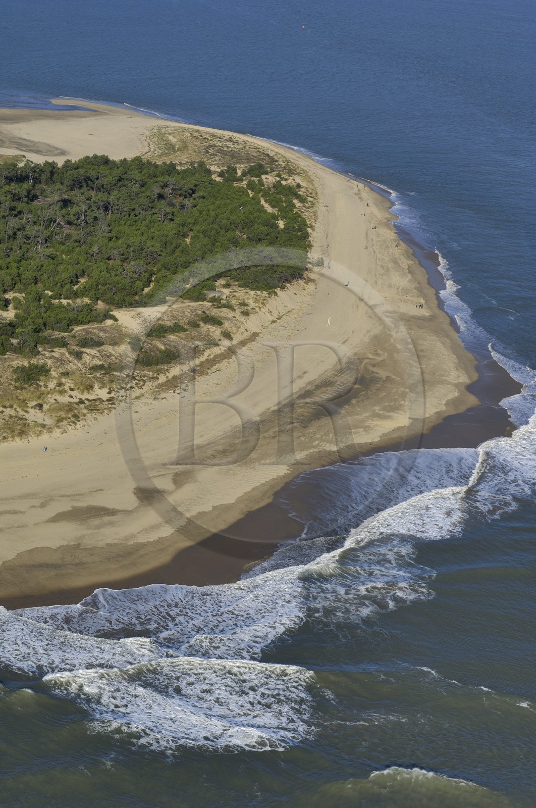 France, Charente-Maritime (17), Ile d'Oléron, pointe de Gatseau (vue aérienne)