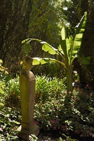 France, Alpes-Maritimes (06), Cannes, jardins de la villa Domergue