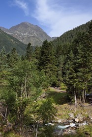 France, Hautes-Pyrénées (65), Saint-Lary-Soulan, randonneurs dans la vallée du Rioumajou