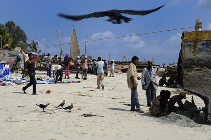 Tanzanie, Dar es-Salaam, intense activité de réparation de coques et de filets sur la plage desservant le marché aux poissons de Kivukoni