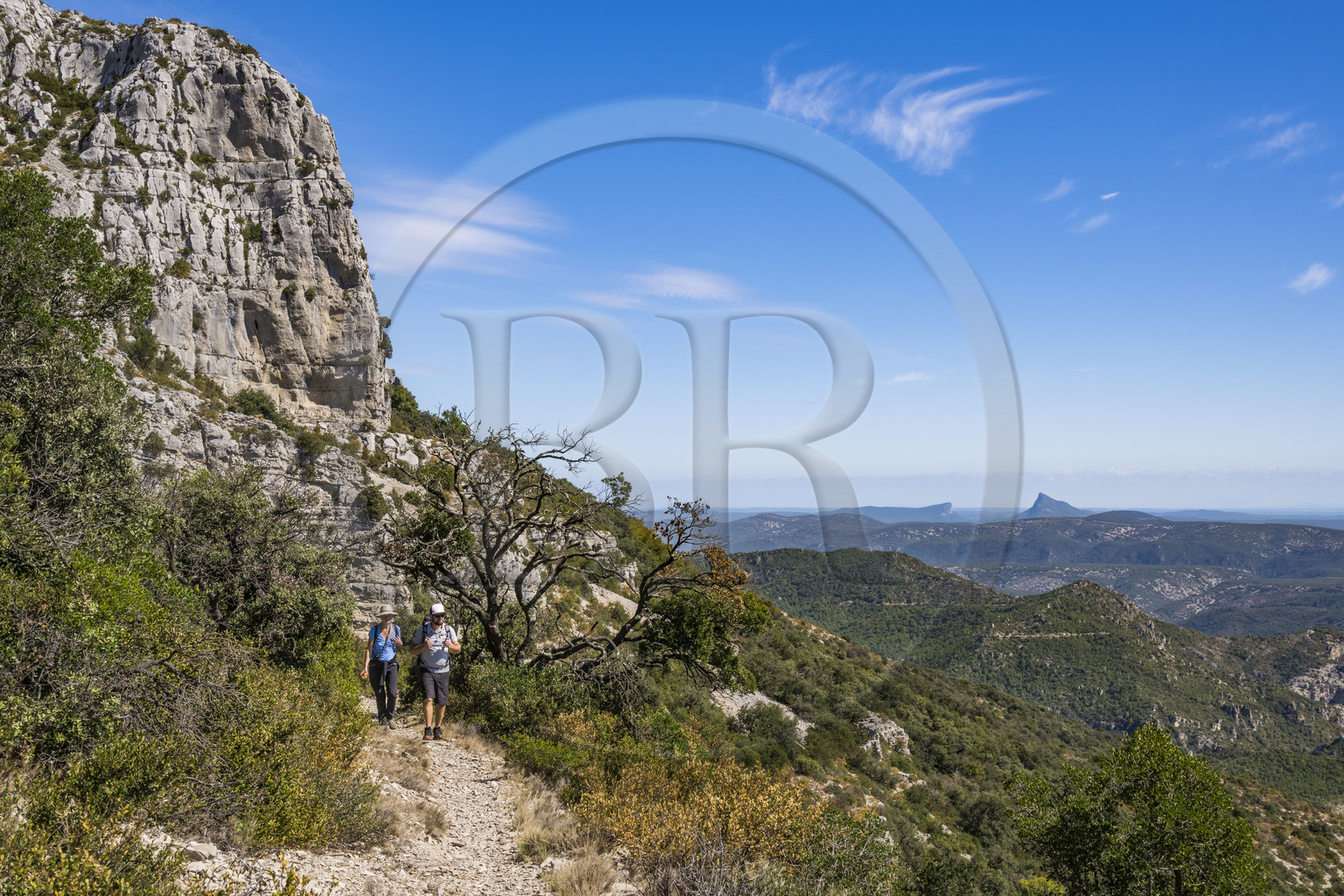 France, Hérault (34), les Causses et les Cévennes, paysage culturel de l'agro-pastoralisme méditerranéen inscrit au Patrimoine Mondial de l'UNESCO, Montpeyroux, randonneurs sur le sentier GR 74 du Mont Saint Baudille en direction de Saint-Guilhem-le-Désert, le Pic Saint-Loup faisant face à l'Hortus en arrière plan