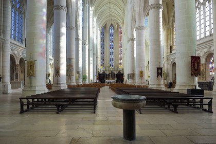 France, Meurthe-et-Moselle (54), Saint-Nicolas-de-Port, basilique de Saint Nicolas, la nef courbe
