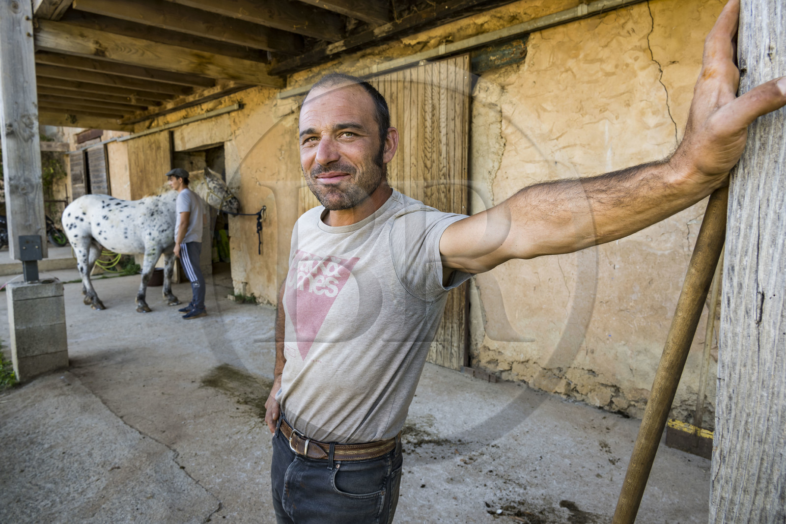 France, Hérault (34), les Causses et les Cévennes, paysage culturel de l'agro-pastoralisme méditerranéen inscrit au Patrimoine Mondial de l'UNESCO, La Vacquerie-et-Saint-Martin-de-Castries, le Mas de Cisco, Jordi Amposta dirige les activités équines avec sa compagne Alexandra Samard