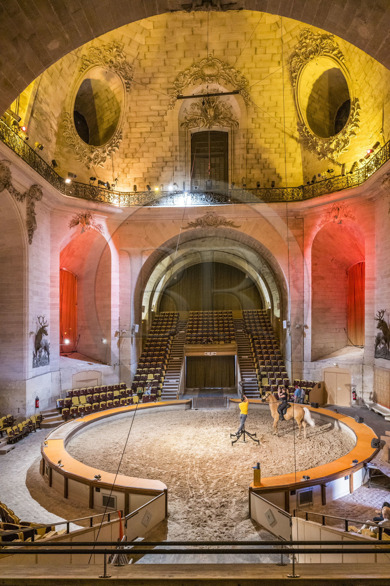 France, Oise (60), Chantilly, le chateau de Chantilly, les Grandes Ecuries, la salle des spectacles équestres sous le dome de l'ancien rendez-vous de chasse à cour, répétition d'un spectacle entre acrobate et cheval