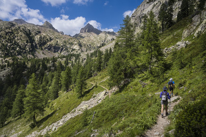 France, Alpes-Maritimes, Parc National du Mercantour (Mercantour national park), Haute Vesubie, Saint Martin Vesubie, Val du Haut Boréon, hikers on the way to the Cougourde refuge, Mount Pelago on the left and Cime Guilié (2999m) on the right in the background