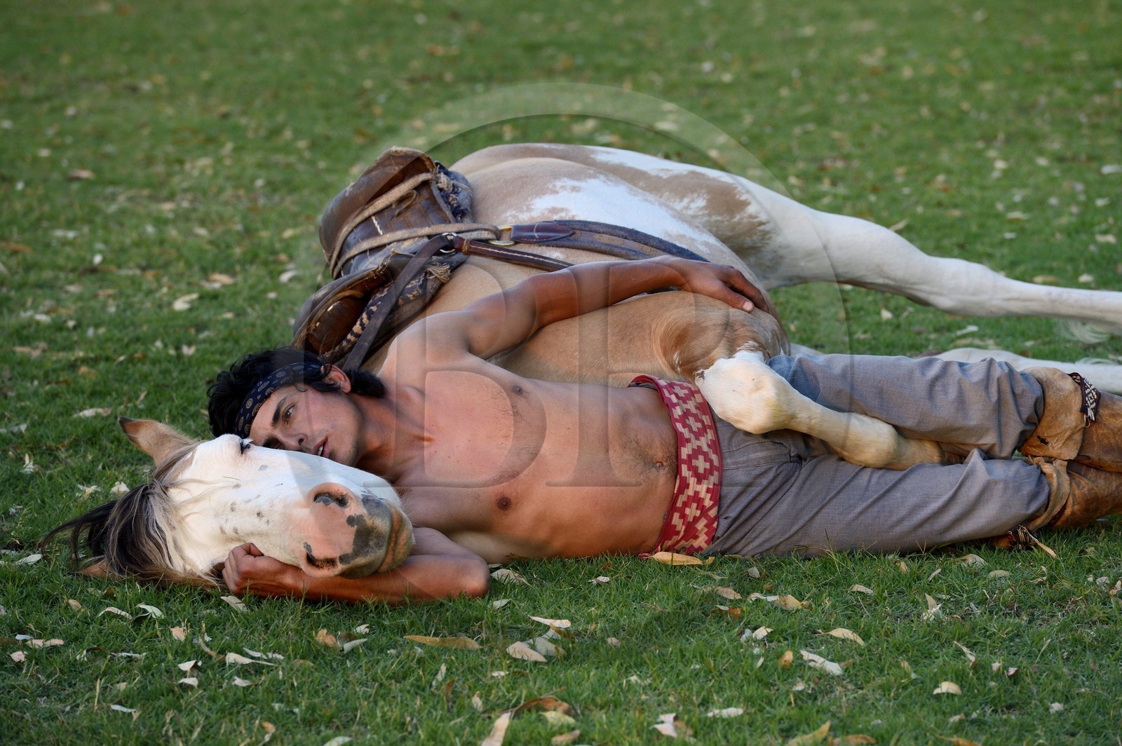 Argentine, province de Buenos Aires, San Antonio de Areco, estancia La Bamba de Areco, demonstration du savoir-faire d'un cavalier amerindien avec son cheval