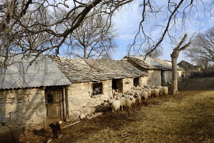 Croatia, Dalmatia, Dalmatian Coast, the village of Gorace war victim