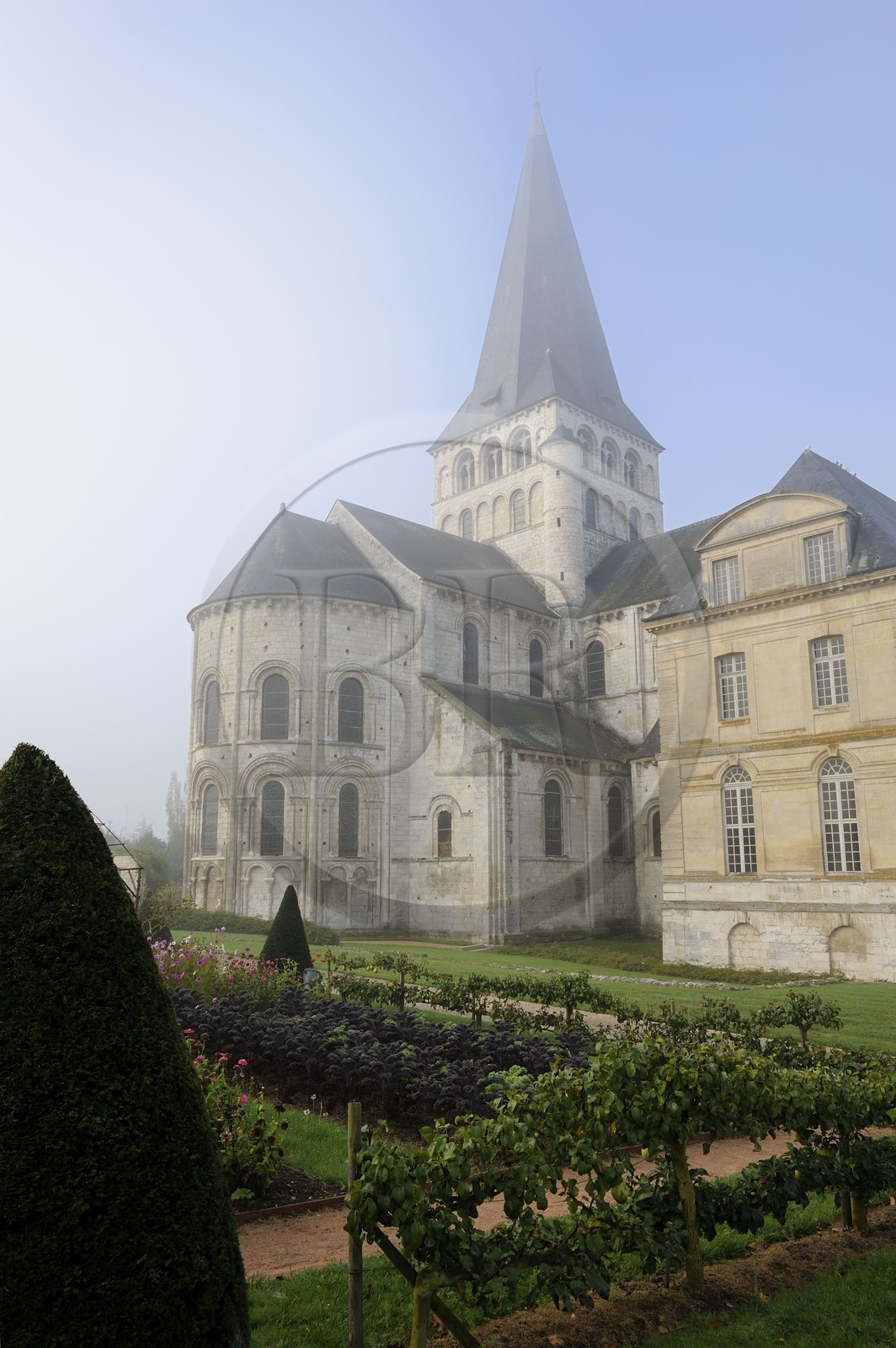 France, Seine-Maritime, Saint-Martin-de-Boscherville, Saint-Georges de Boscherville Abbey of the 12th century and the gardens