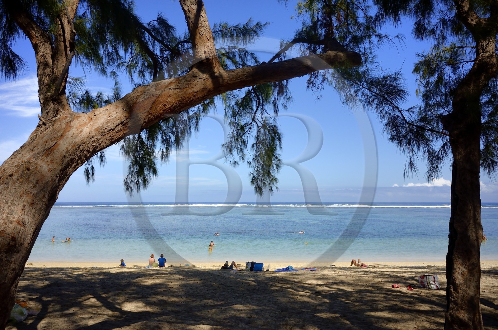 France, Reunion island (French overseas department), West coast, Saint Gilles Les Bains (town of Saint-Paul), beach of Ermitage lined by phileas, local typical trees