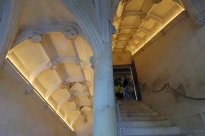 France, Indre-et-Loire (37), château de Chenonceau édifié de 1513 à 1521 de style Renaissance, l'escalier droit