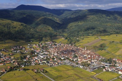France, Haut-Rhin (68), Riquewihr et son vignoble au pied du massif des Vosges (photo aérienne)