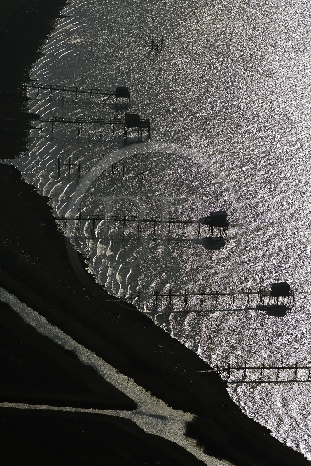 France, Charente-Maritime (17), carrelets sur la Charente (vue aérienne)