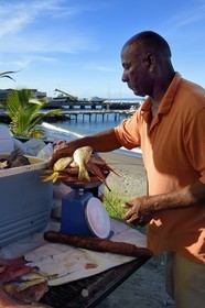 Caraïbes, Ile de la Dominique, la capitale Roseau, vendeur de poissons en bordure de route