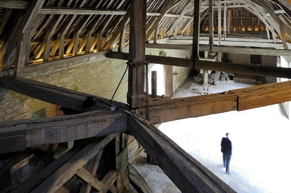 France, Côte-d'Or (21), le Château du Clos-de-Vougeot (vignoble des Côtes de Nuit), la cuverie à l'imposante charpente