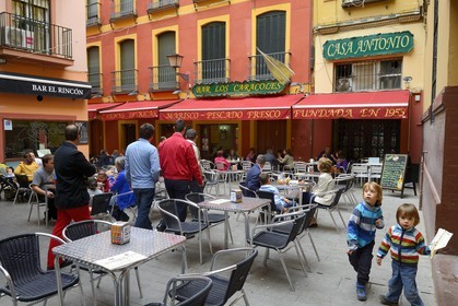 Espagne, Andalousie, Séville, quartier de Santa Cruz, restaurant et bar à tapas de la plaza Alfalfa