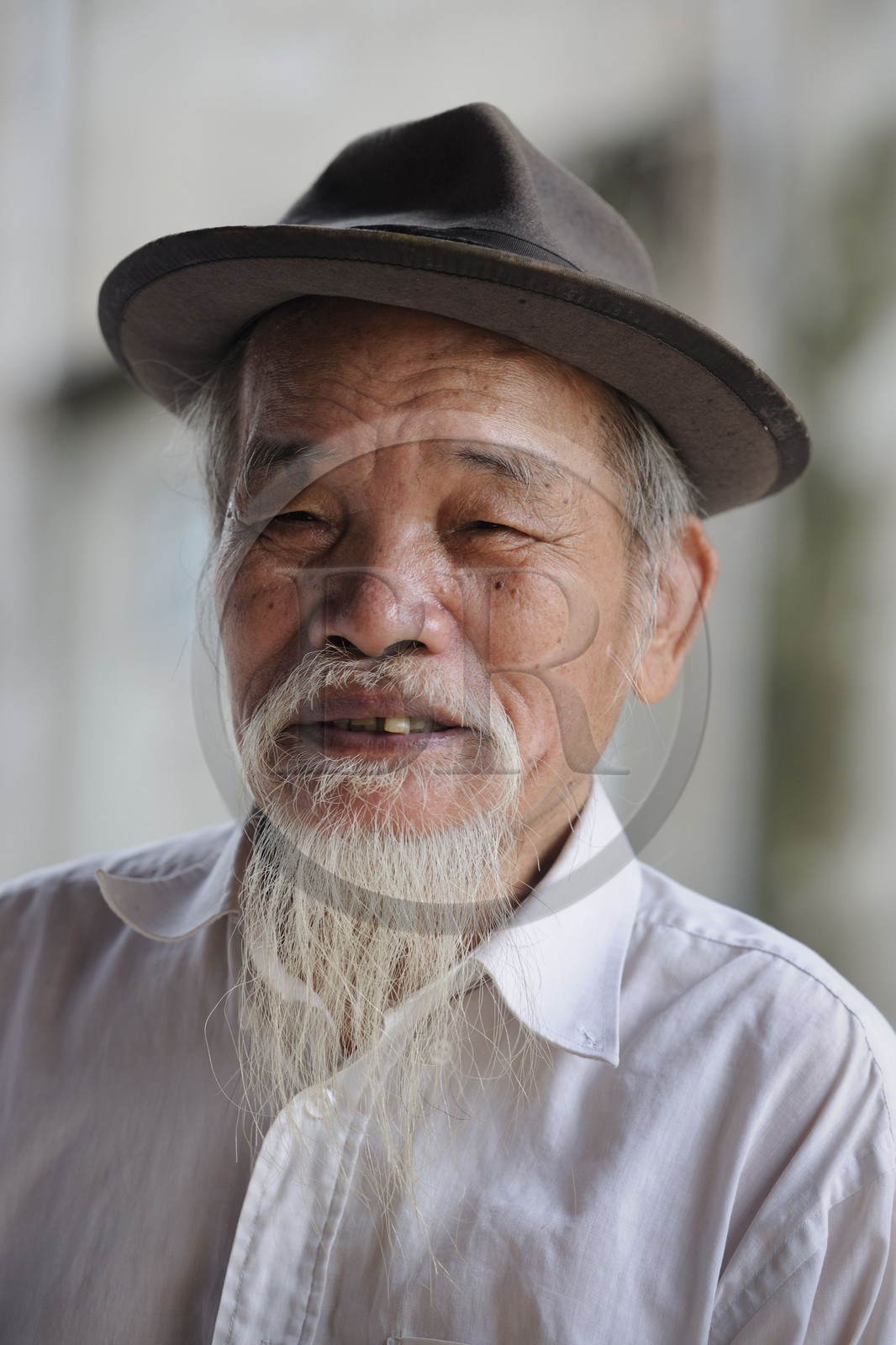 Vietnam, Hanoi, portrait of an old man with Ho Chi Minh beard