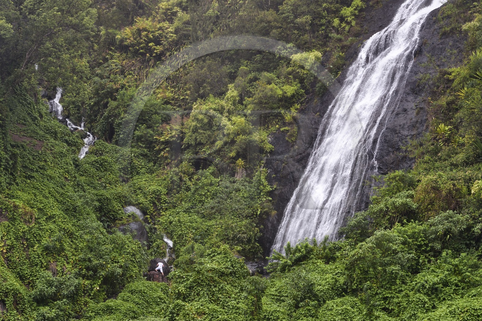 France, Ile de la Reunion, Cirque de Salazie, classé Patrimoine Mondial de l'UNESCO, cascade du Voile de la Mariée