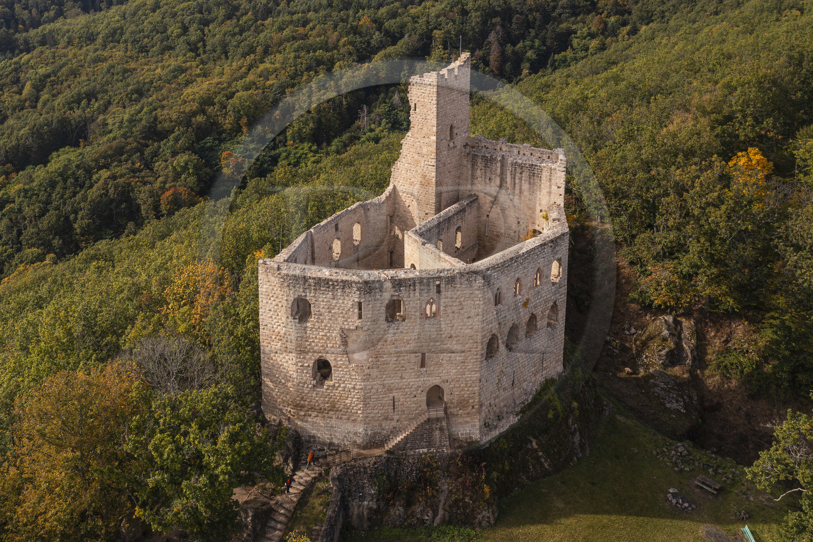 France, Bas-Rhin (67), Route des vins d'Alsace, Andlau, le chateau de Spesbourg construit vers 1250 (vue aérienne)