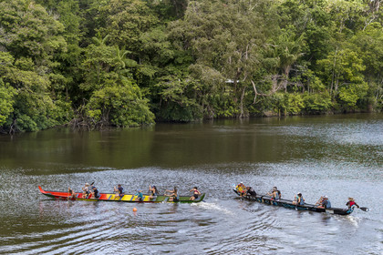 France, Guyane, Kourou, Camp Maripas, course de deux pirogues P12 (pirogue traditionnelle Guyanaise adaptée en résine) sur le fleuve Kourou (vue aérienne)