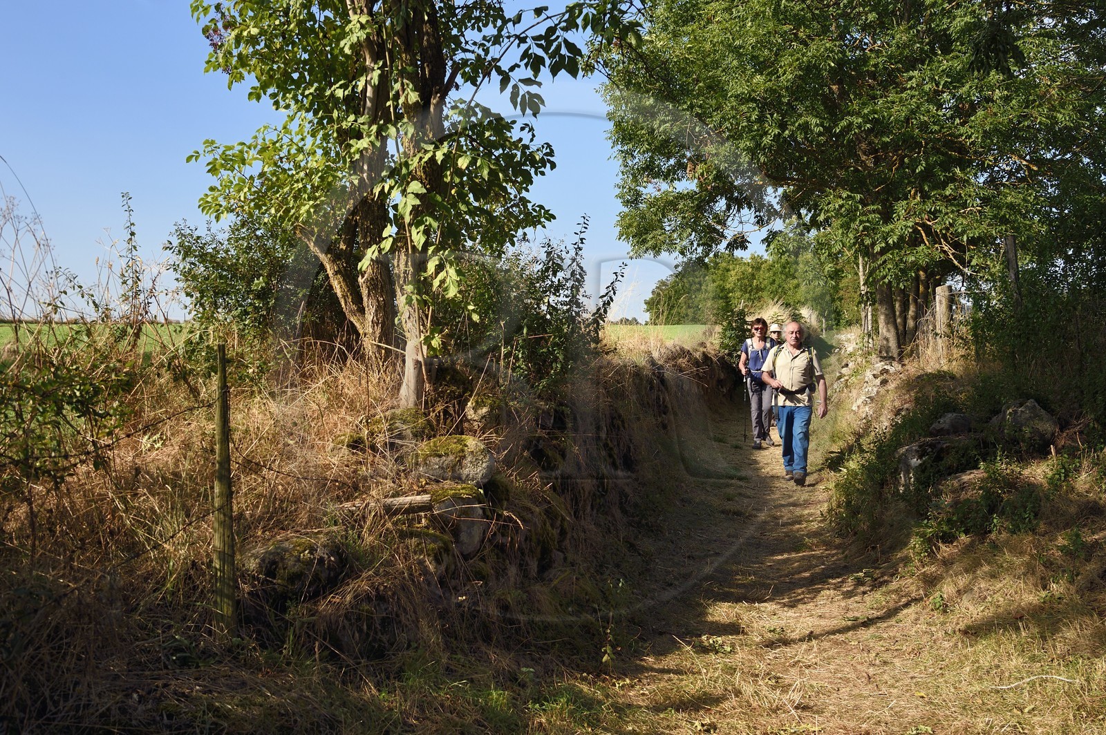 France, Cantal (15), Parc Naturel Régional des Volcans d'Auvergne, étape sur le chemin de Saint-Jacques de Compostelle par la Via Arverna, Chalinargues, hameau de Mons, randonneurs marchant dans le chemin creux