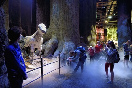 Royaume-Uni, Hertfordshire, Leavesden, Leavesden Film Studios, Harry Potter Studio Tour London, les coulisses du tournage des 8 films de Harry Potter, la mythique Forêt Interdite, Buck l’Hippogriffe