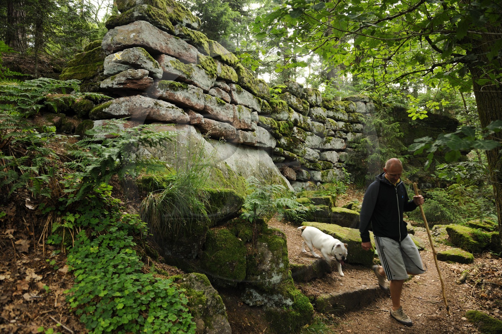 France, Bas-Rhin (67), le Mont Saint-Odile, le mur païen