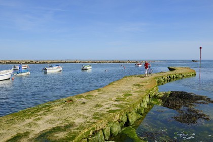 France, Finistère (29), Penmarc'h, Pointe de Penmarch, port Saint-Pierre