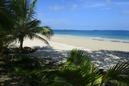 Panama, Pearl Islands, Isla Viveros, white sand beach