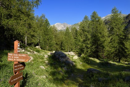 France, Alpes-Maritimes, parc national du Mercantour (Mercantour National Park), vallon de la Minière (Miniere valley) below the Vallee des Merveilles (Valley of Wonders), signpost of the access path and the Mount Bego in the background