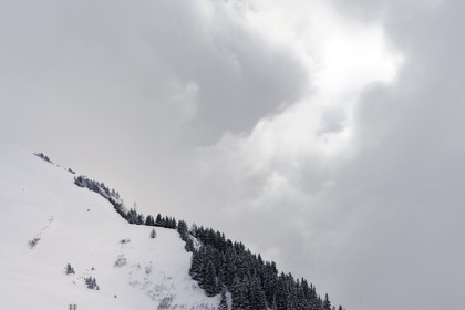 Suisse, Canton de Vaux, Domaine skiable de Villars sur Ollon -  Gryon