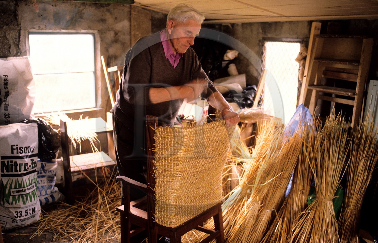 Royaume-Uni, Ecosse, îles Orcades, artisan menuisier fabricant la chaise à dossier relevé en paille, typique des orcades