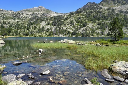 France, Hautes Pyrenees, Saint Lary Soulan and Vielle Aure, Neouvielle National Nature Reserve, Neouvielle lakes hike, Aumar lake