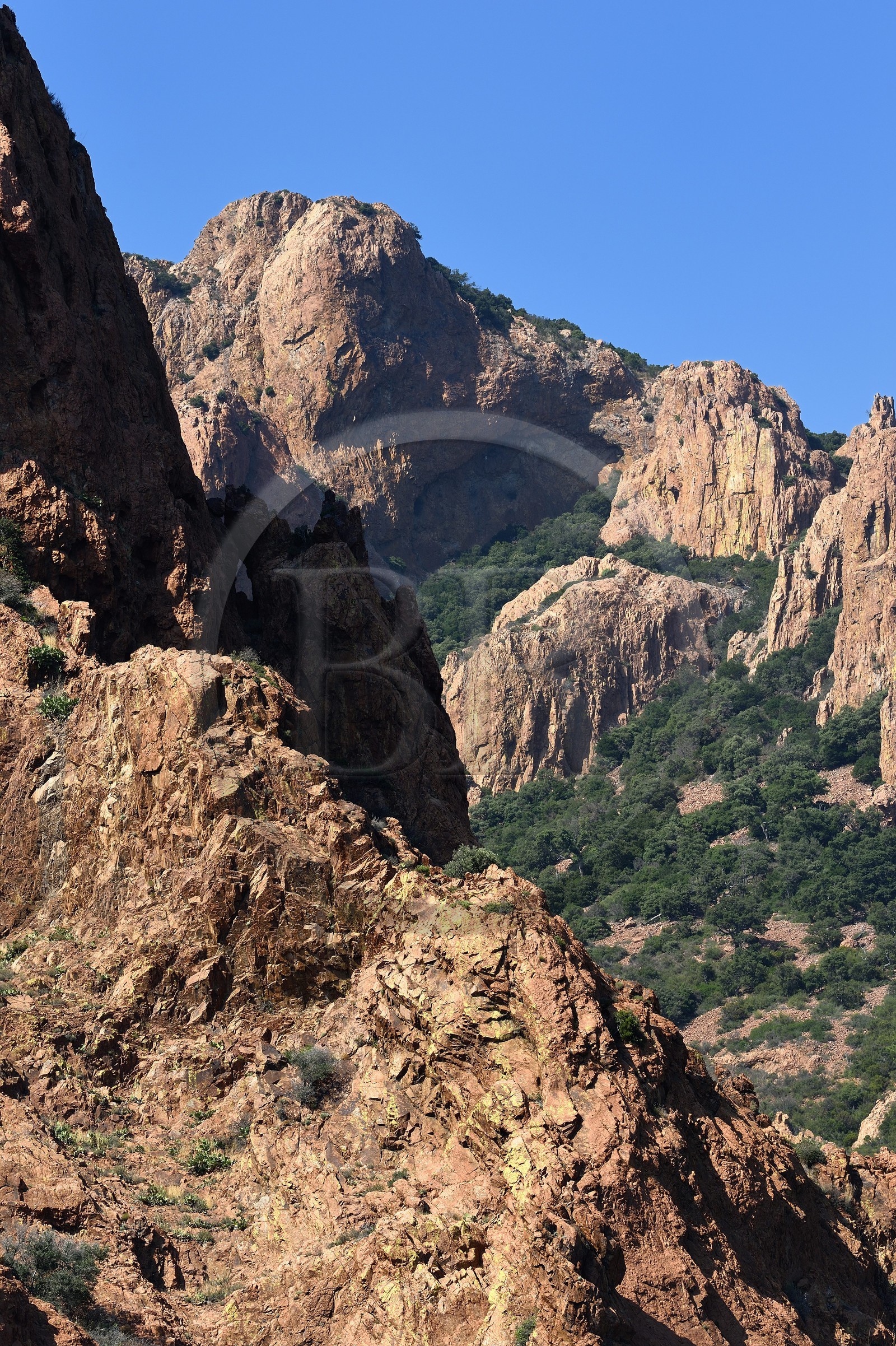 France, Var (83), Agay commune de Saint-Raphaël, massif de l'Estérel, Massif du Cap Roux