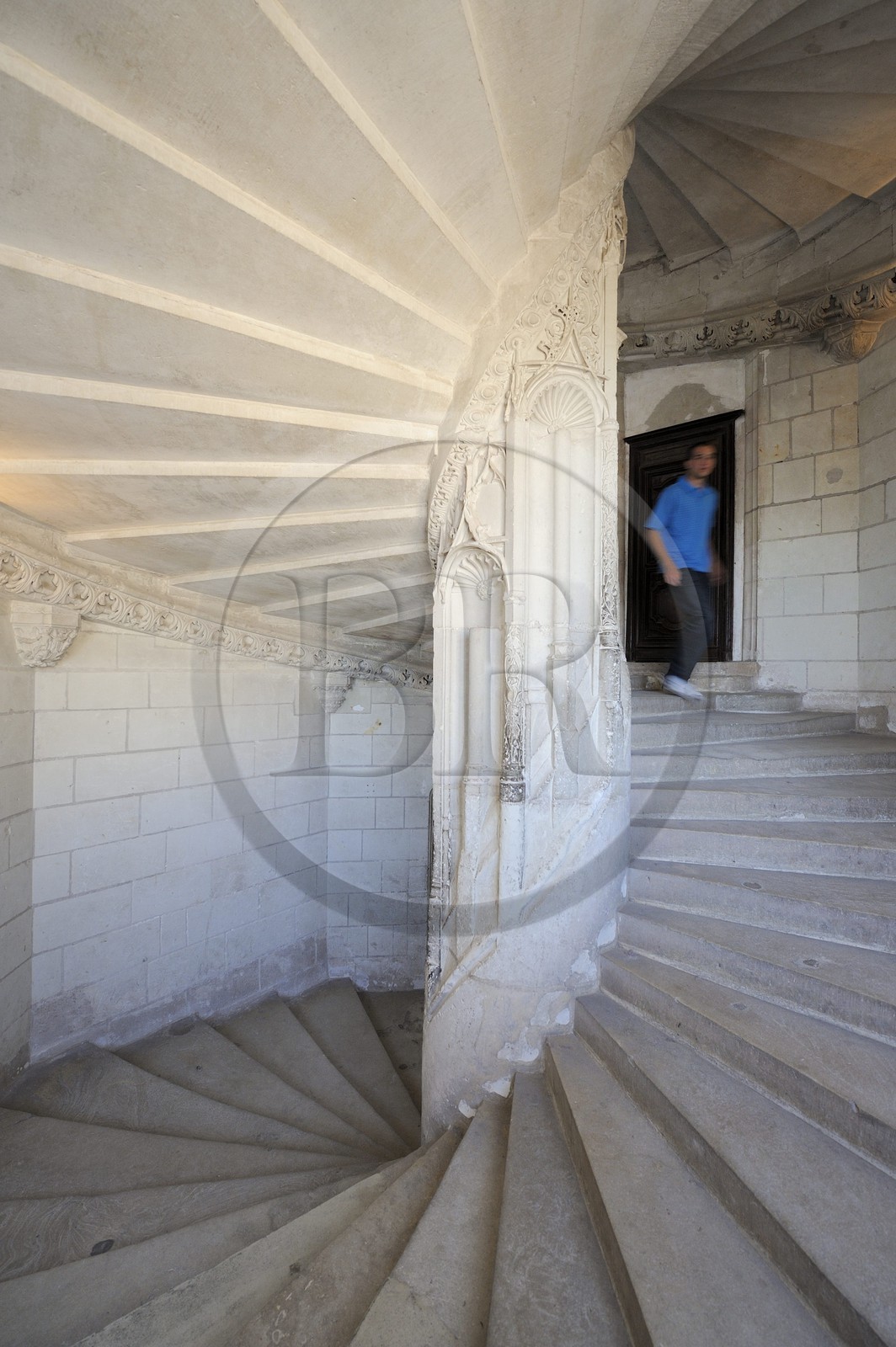 France, Loir-et-Cher (41), Vallée de la Loire classée Patrimoine Mondial de l'UNESCO, château de Chaumont-sur-Loire, escalier