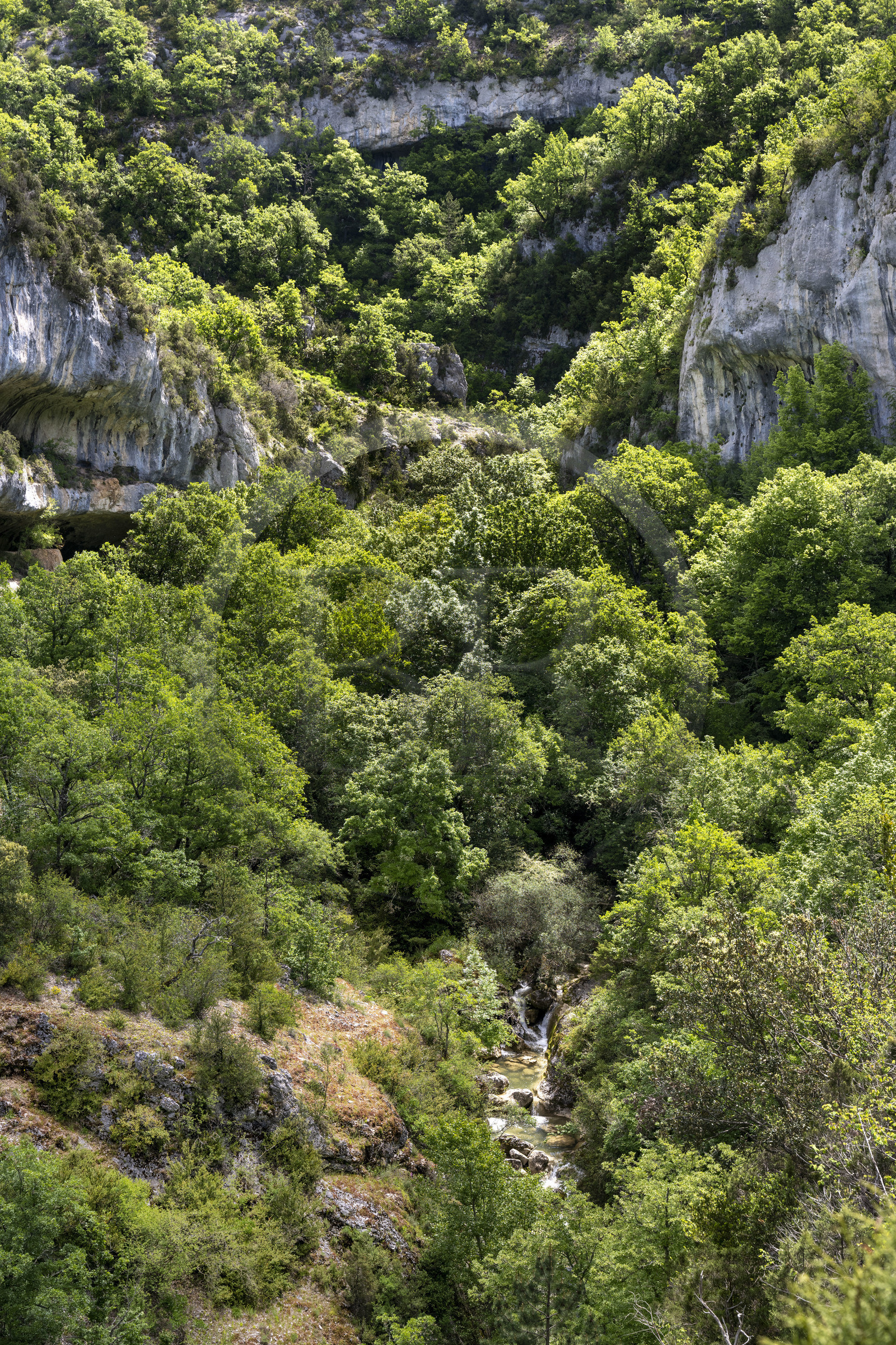 France, Vaucluse (84), Parc naturel régional du Mont Ventoux, Monieux, Gorges de La Nesque, la Nesque