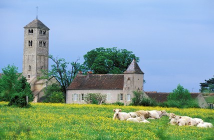 France, Saone et Loire, Chapaize, Saint Martin church