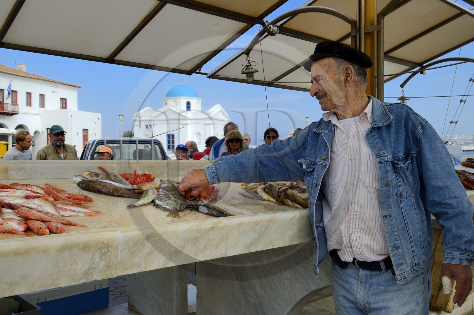Greece, Cyclades islands, Mykonos island, Chora (Mykonos town), the fish market on the port