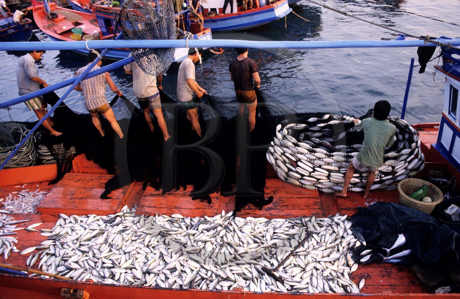 Vietnam, île de Phu Quoc (sud-ouest du pays), retour de pêche
