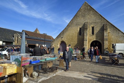 France, Calvados (14), Pays d'Auge, Saint-Pierre-sur-Dives, jour de marché devant les halles du XIe siècle reconstruites au XVe siècle, vente de volaille vivante