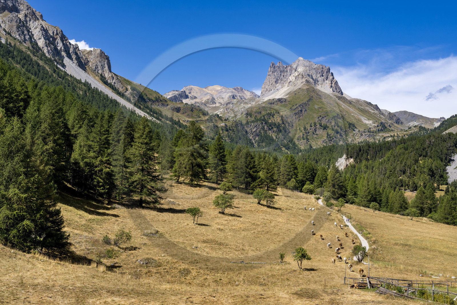 France, Hautes Alpes (05), Névache, la Vallée Étroite à la frontière italienne, hameau les Granges, le Mont Thabor et le Grand Séru (à droite) en arrière plan