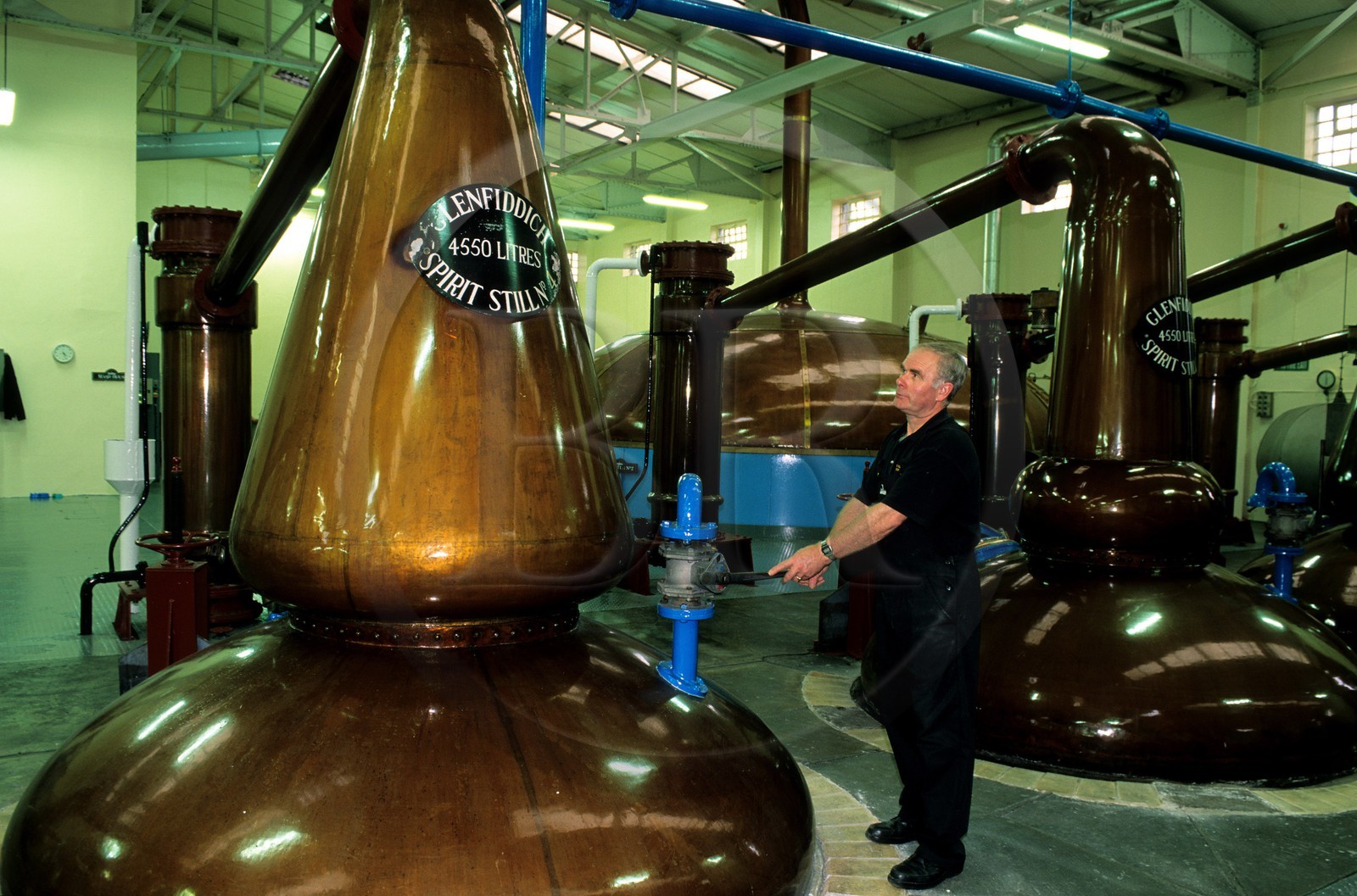 Royaume-Uni, Ecosse, Moray, Dufftown, Glenfiddich distillery, alambics en cuivre traditionnel pour la double distillation du whisky