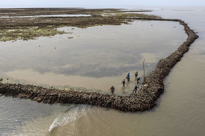 France, Charente-Maritime (17), Ile d'Oléron, Saint-Georges-d'Oléron, plage des Sables Vignier à marée basse, concessionnaires consolidant l'écluse à poissons des Basses (vue aérienne)
