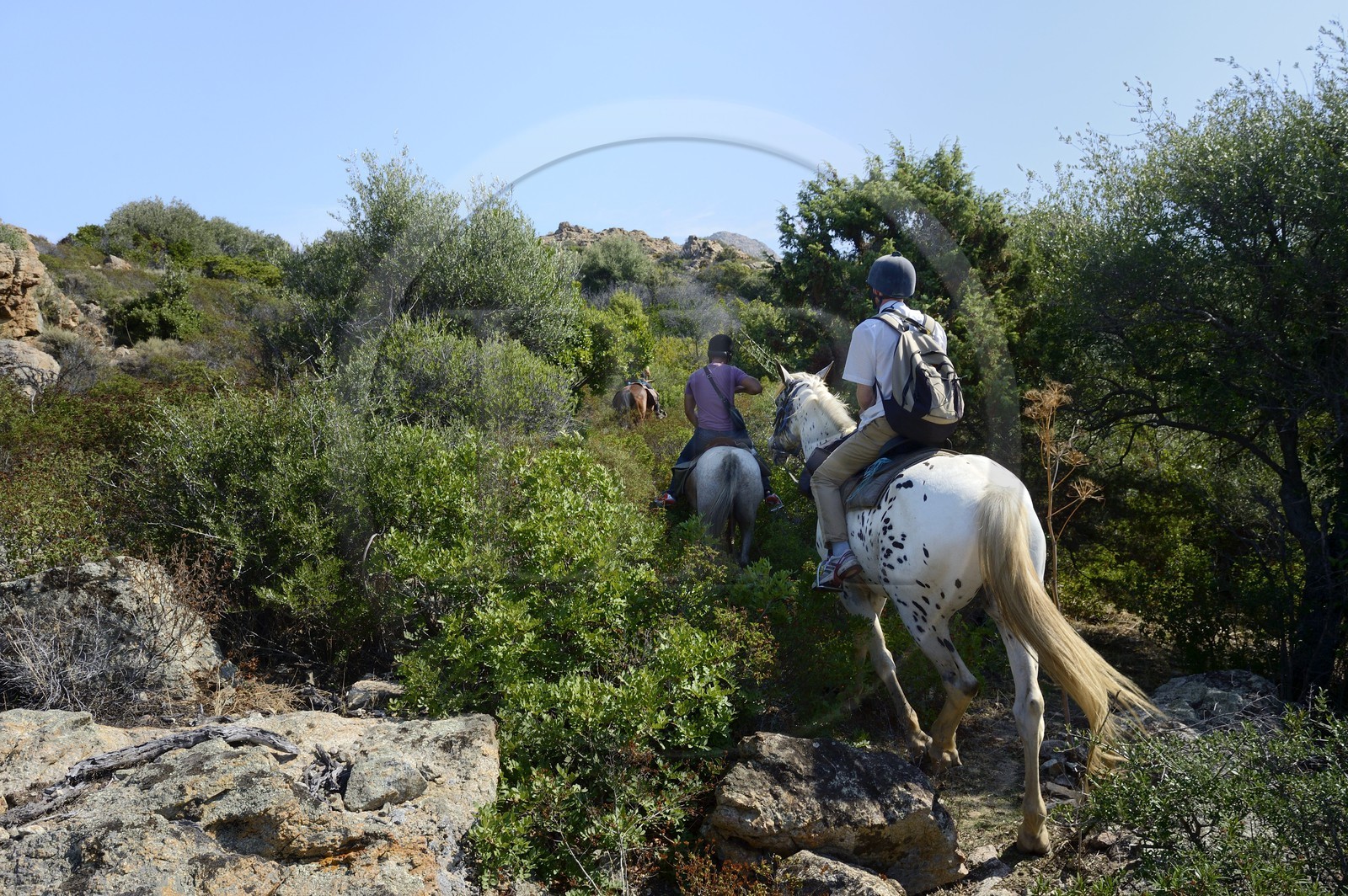 France, Haute-Corse (2B), Nebbio, cavaliers en randonnée dans le désert des Agriates