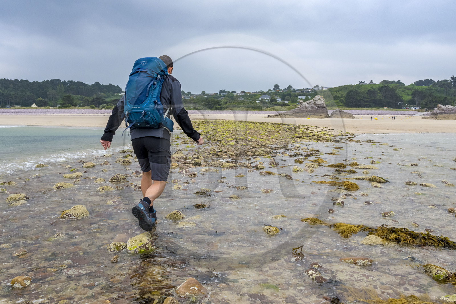 France, Côtes d'Armor (22), Grand Site de France Cap d'Erquy – Cap Fréhel, Erquy, l'Ilot Saint-Michel est accessible à pied à marée basse, passage du tombolo à marée montante