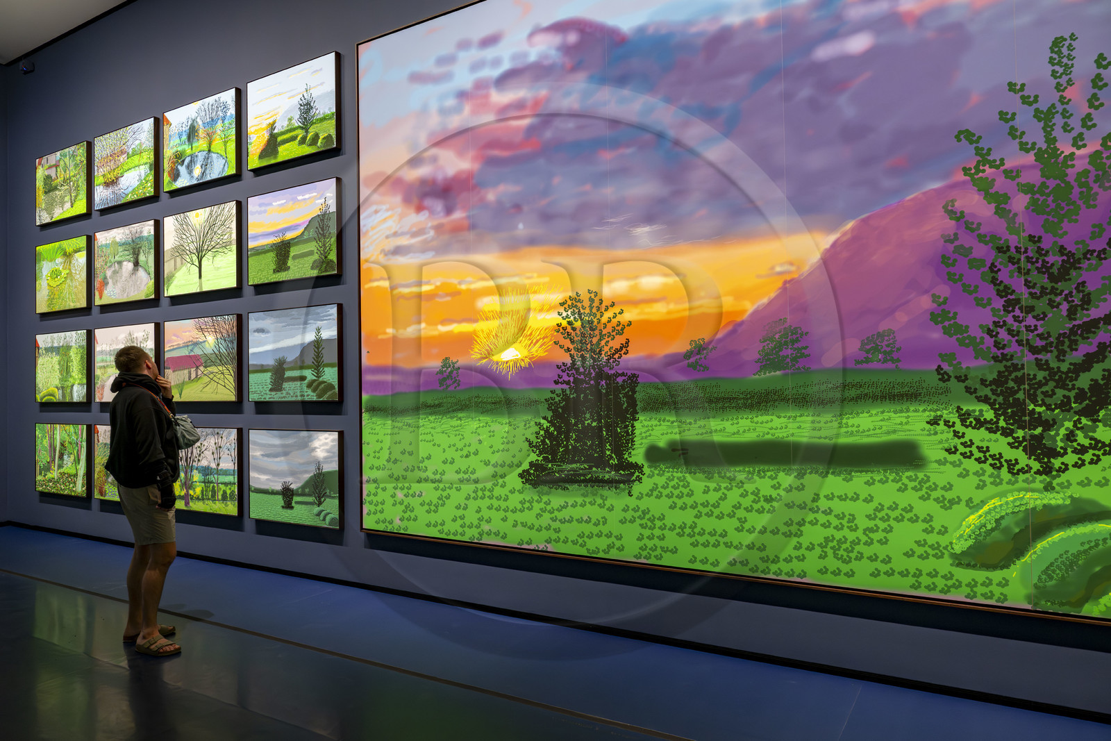 France, Paris (75), Bois de Boulogne, la fondation Louis Vuitton de l'architecte Frank Gehry, exposition David Hockney 25, 220 for 2020, peinture et animation sur iPad