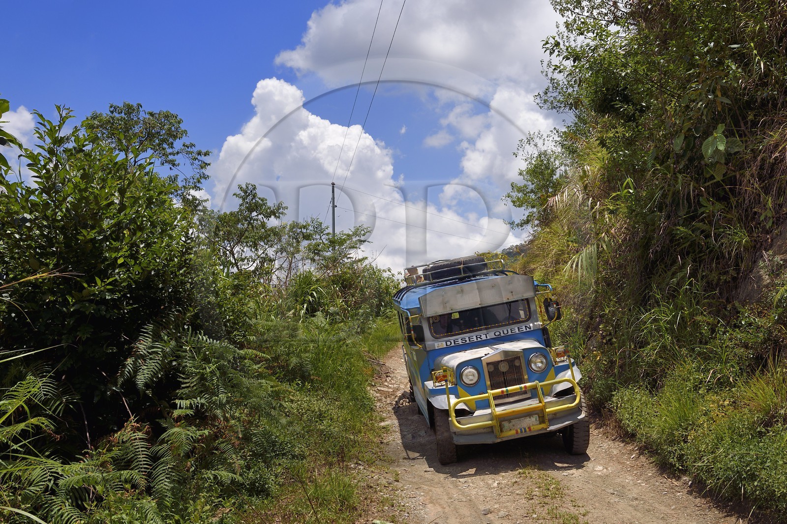 Philippines, province d'Ifugao, région de Banaue, jeepney (jeep allongée pour le transport de passagers) progressant sur une piste de montagne vers Cambulo