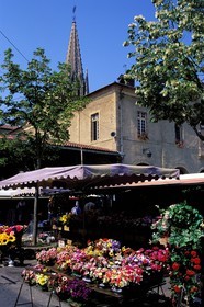 France, Hautes-Pyrénées (65), étal de fleurs sur le marché