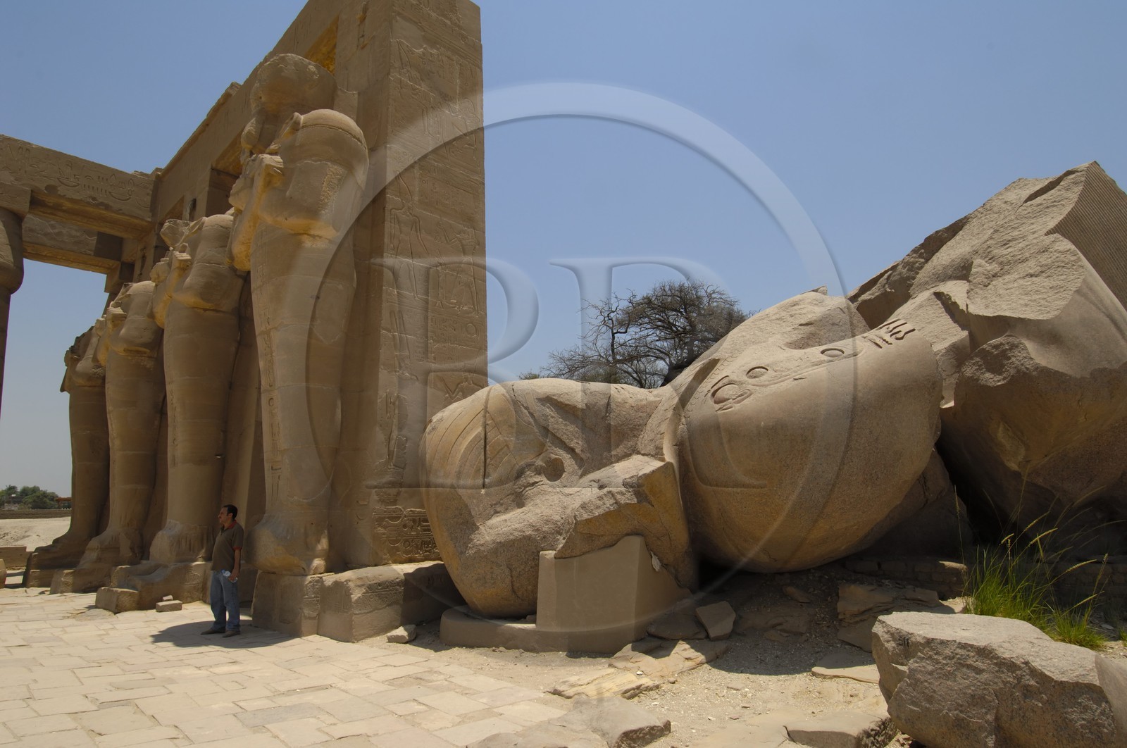 Egypte, Haute Egypte, vallée du Nil, environs de Louxor, nécropole thébaine classée Patrimoine Mondial de l'UNESCO, Thèbes Ouest, temple de Ramesseum