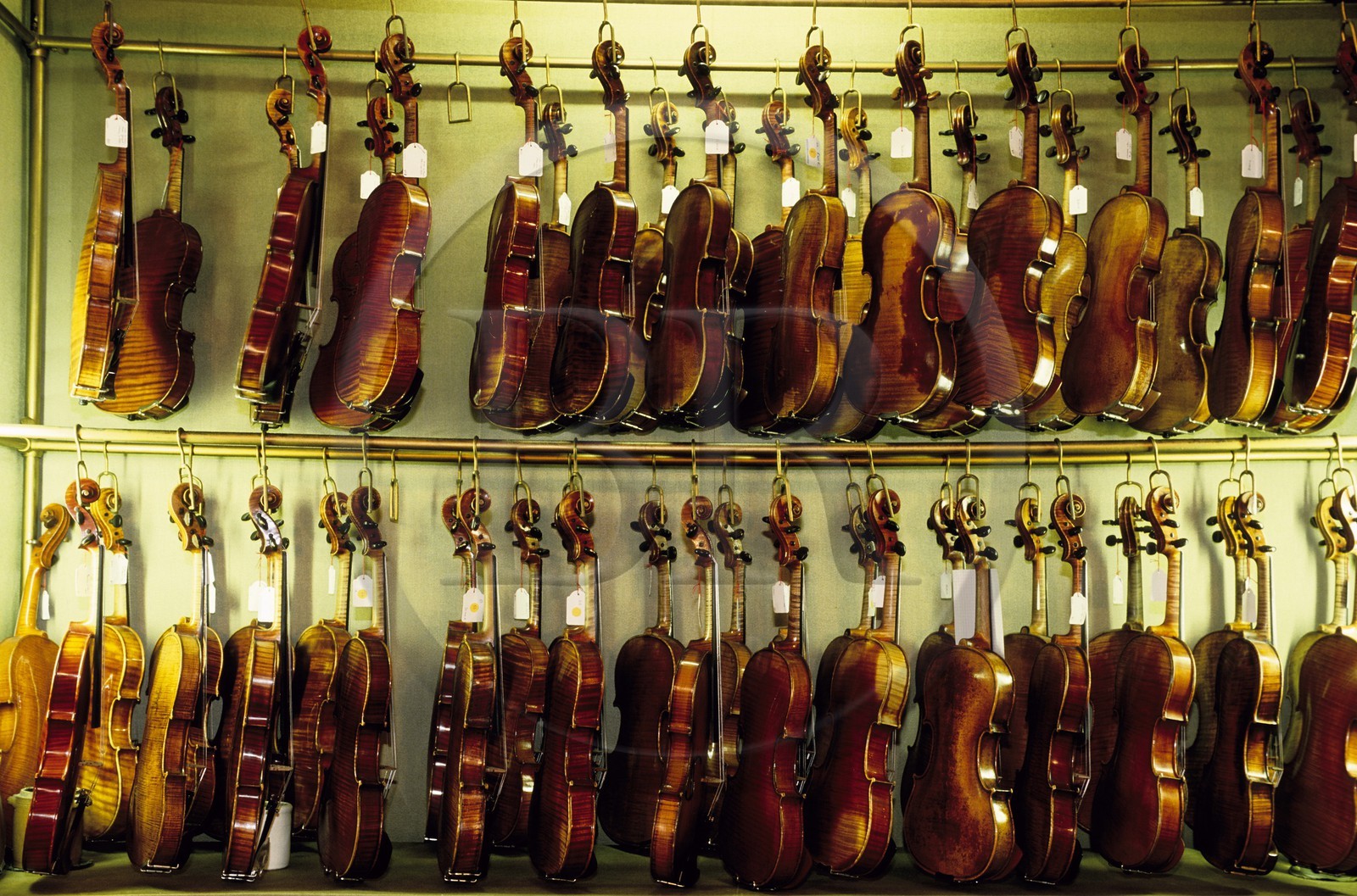 France, Paris, violins, Watelot Rampal stringed instrument maker