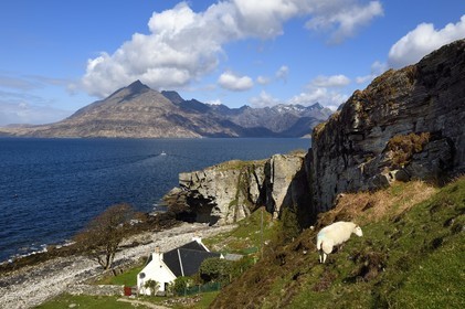 Royaume-Uni, Ecosse, région des Highlands, les Hébrides, Ile de Skye, village de Elgol sur les rives du Loch Scavaig au bout de la péninsule de Strathaird et le massif des Black Cuillin Mountains en arrière plan
